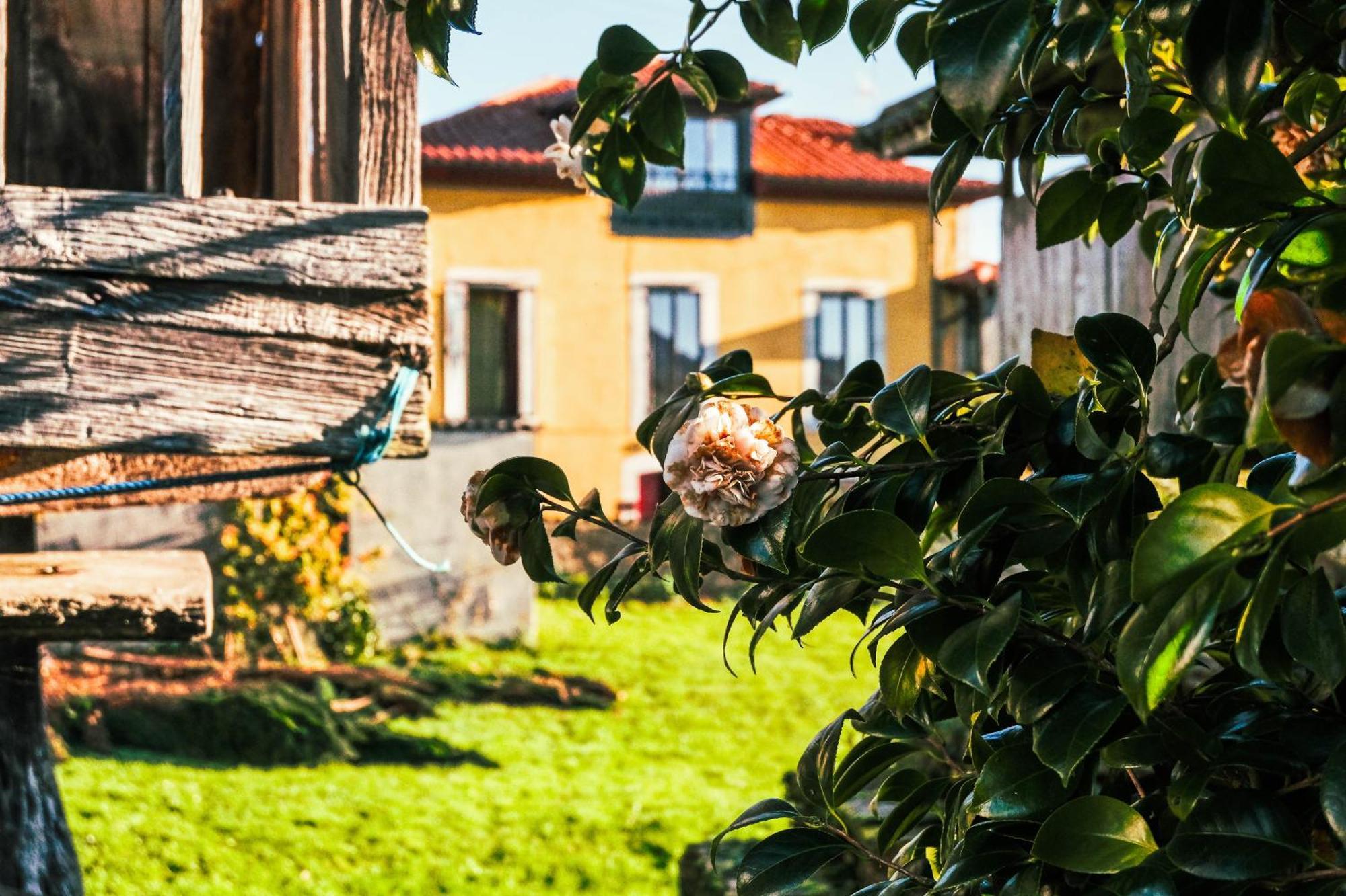 Отель La Casona De Faedo Pension Экстерьер фото