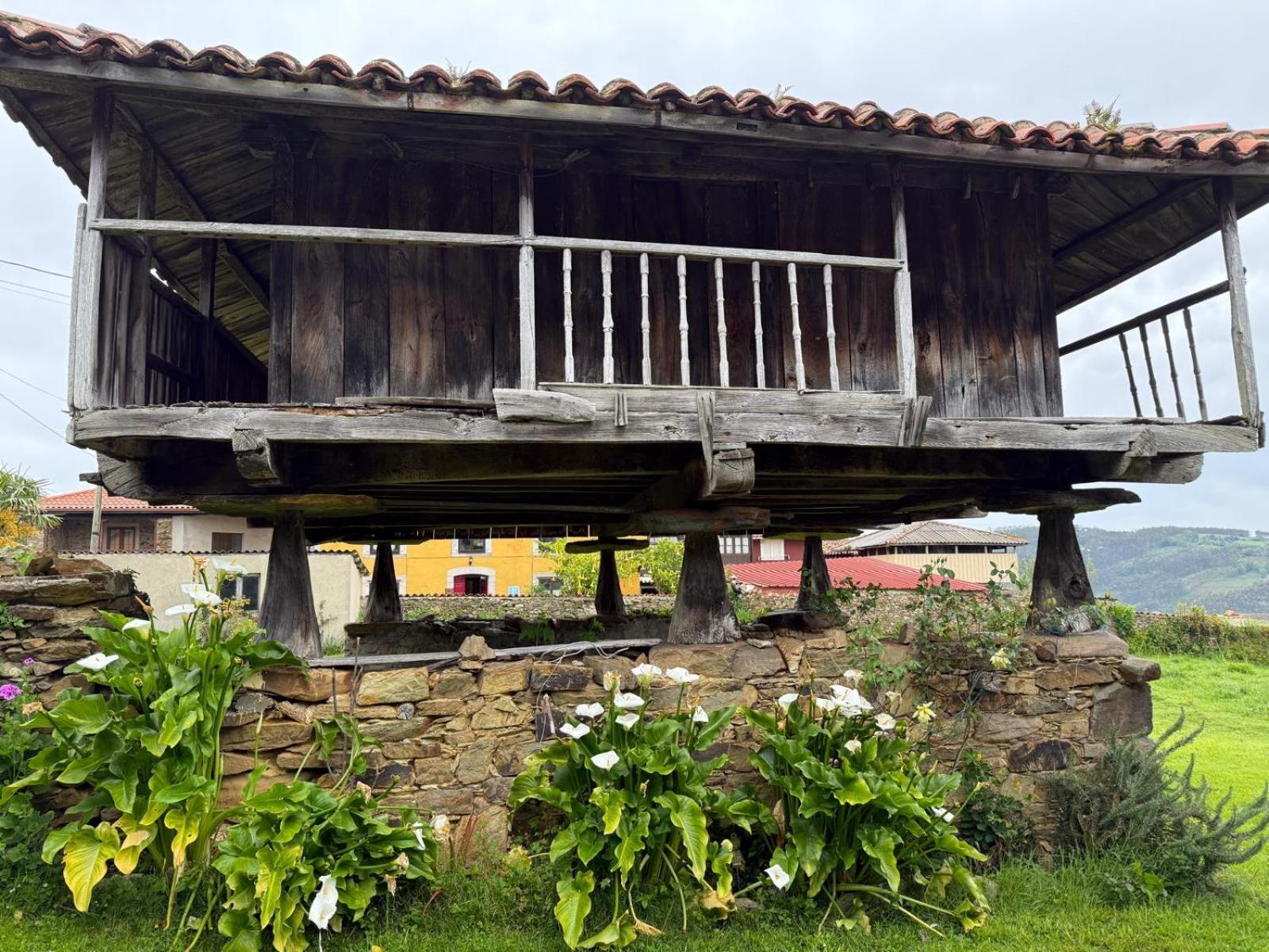 Отель La Casona De Faedo Pension Экстерьер фото