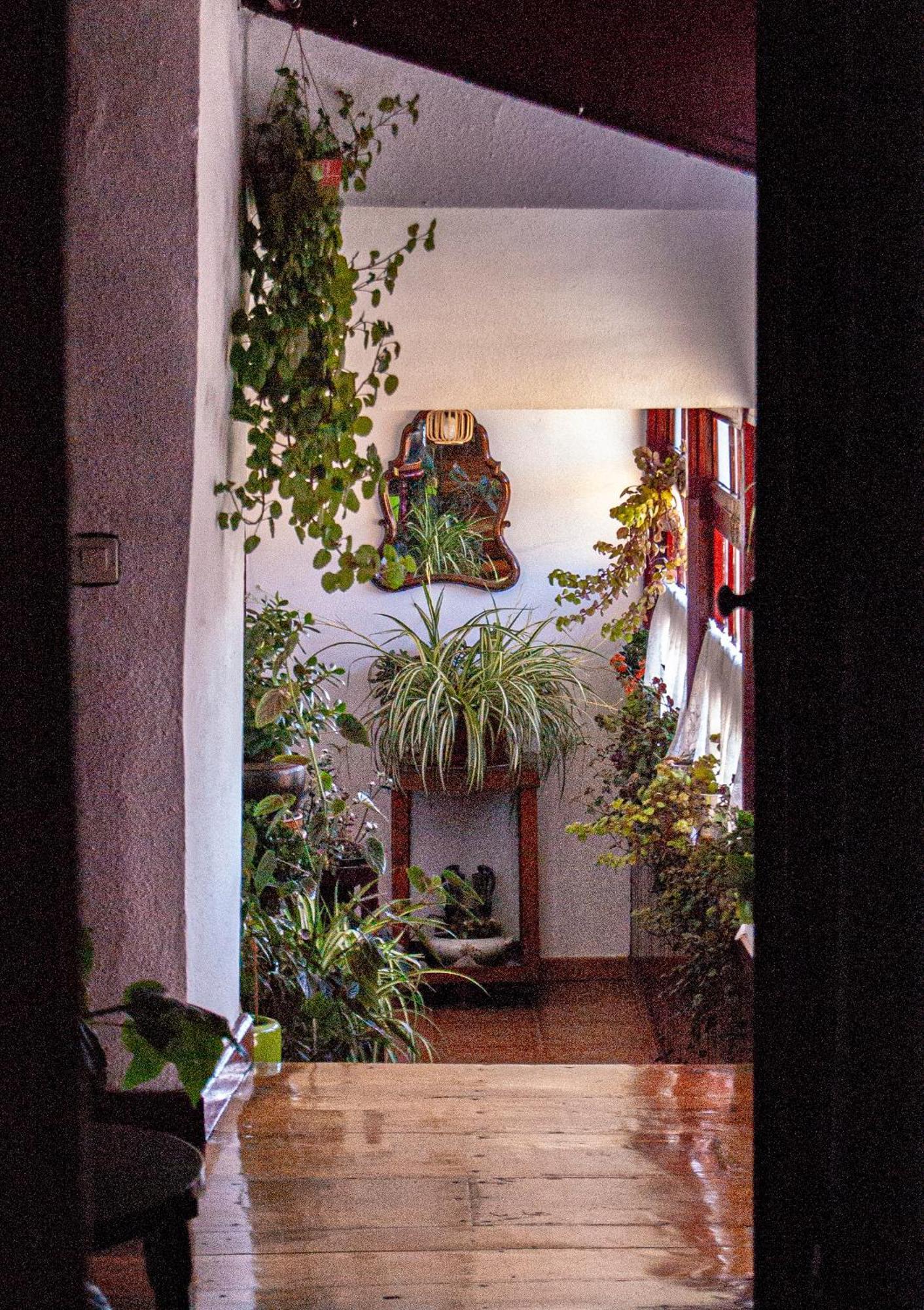 Отель La Casona De Faedo Pension Экстерьер фото